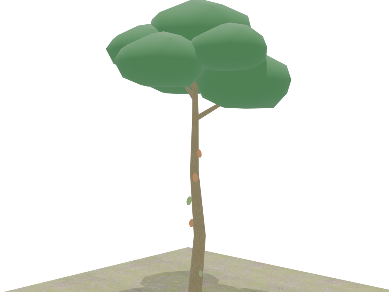 CC0樹皮をまとったカカオの木